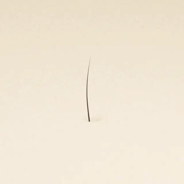 Hair Density Serum with Nanoxidil 5%-See hair growth in 4 weeks