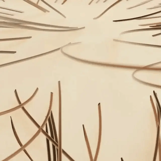 Hair Density Serum with Nanoxidil 5%-See hair growth in 4 weeks