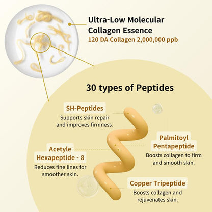 Silk Lifting Peptide Ampoule | Wrinkle Care | Deep Collagen