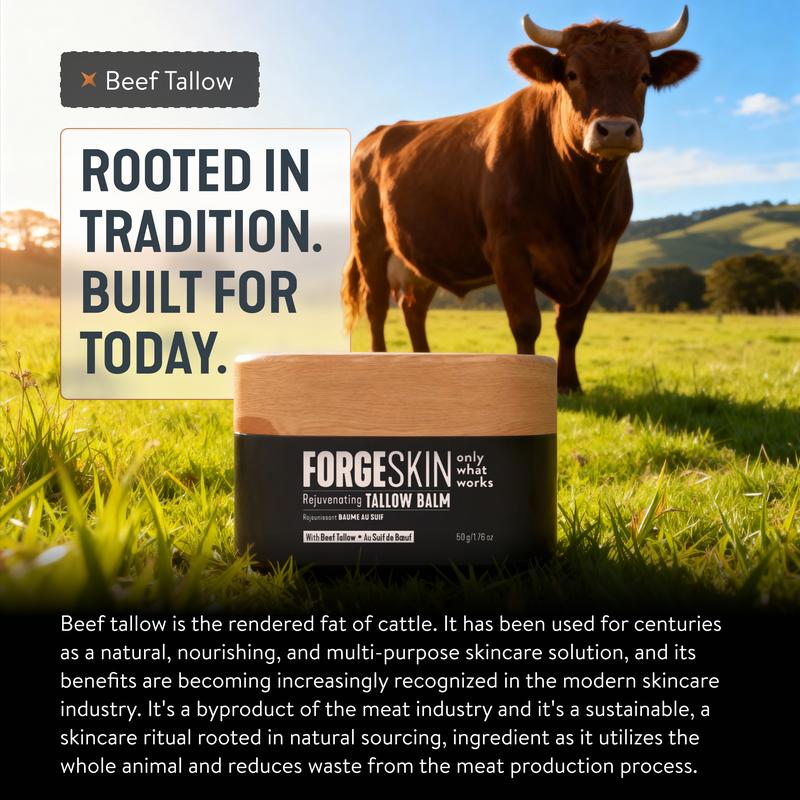 FORGE SKIN Wrinkle Defense & Natural Anti-Aging Beef Tallow Moisturizer for Men